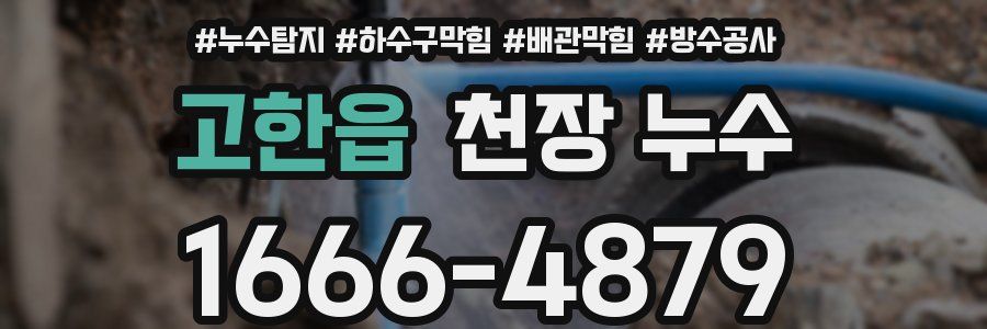 고한읍 천장 누수