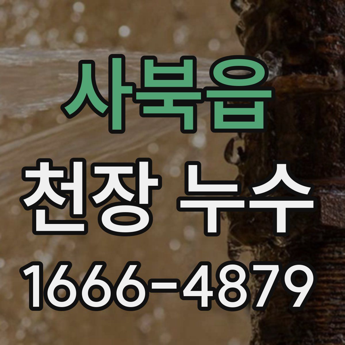 사북읍 천장 누수