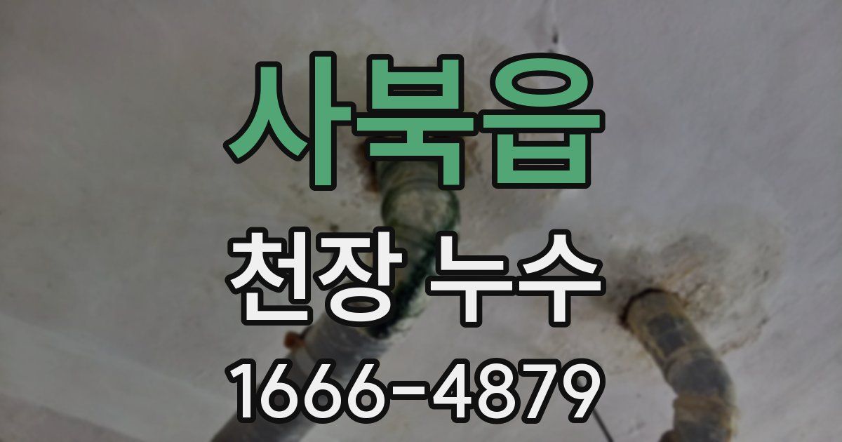 사북읍 천장 누수