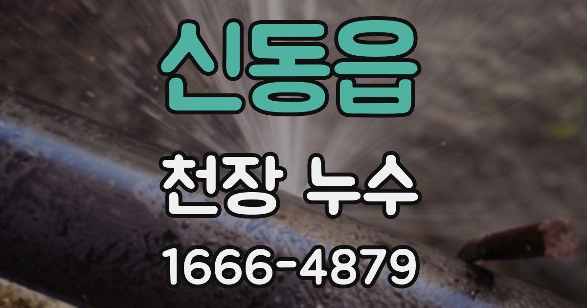 신동읍 천장 누수