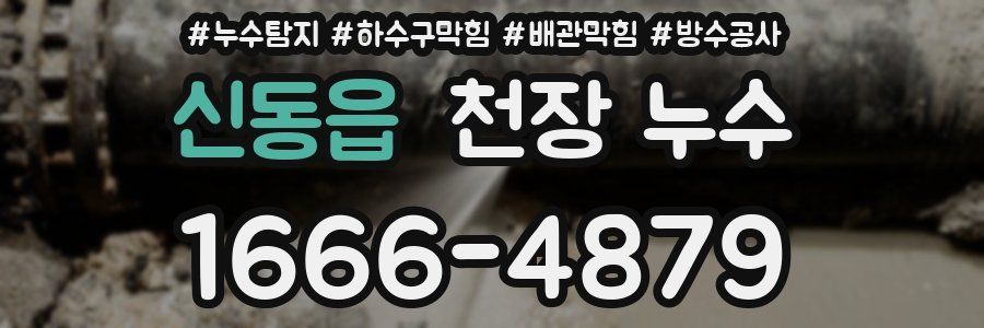 신동읍 천장 누수