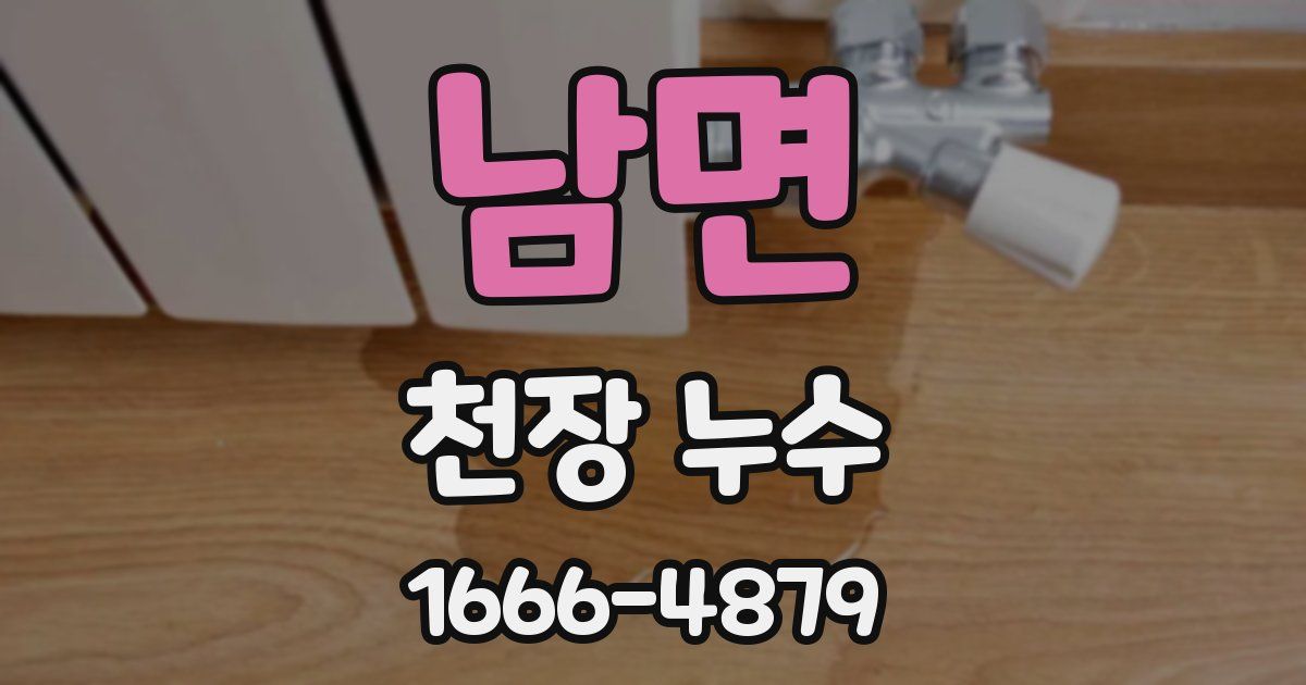 남면 천장 누수