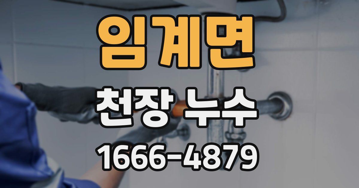 임계면 천장 누수