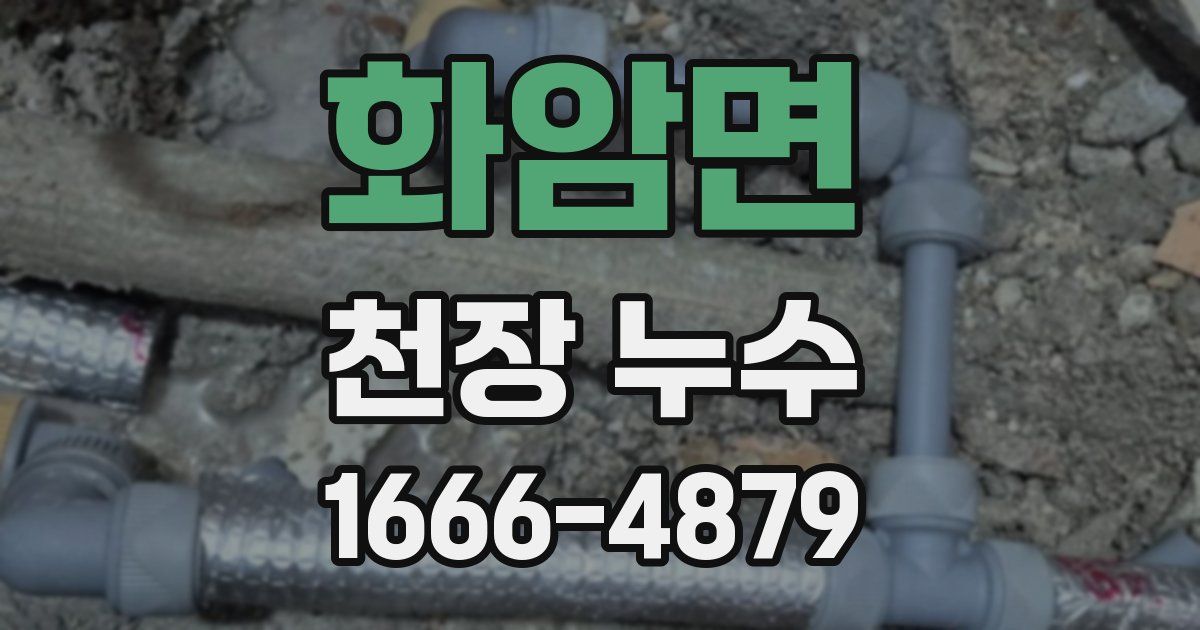 화암면 천장 누수