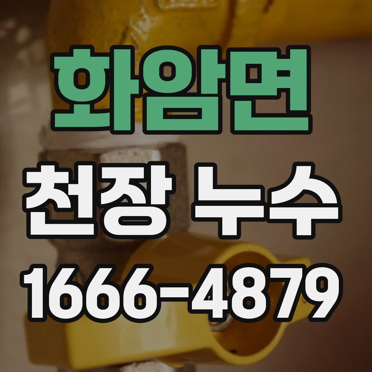 화암면 천장 누수