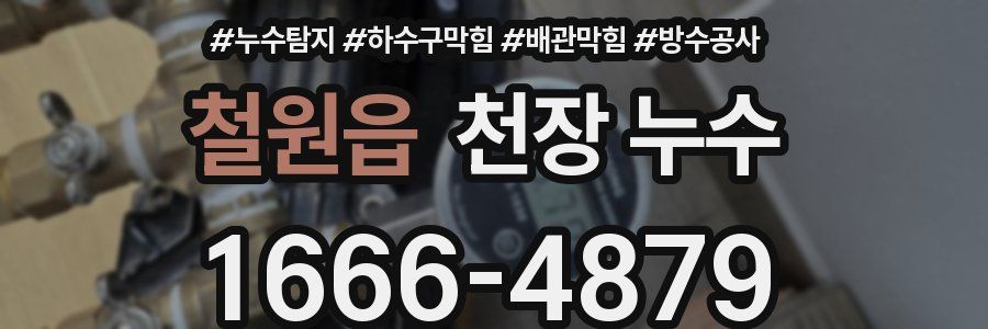 철원읍 천장 누수