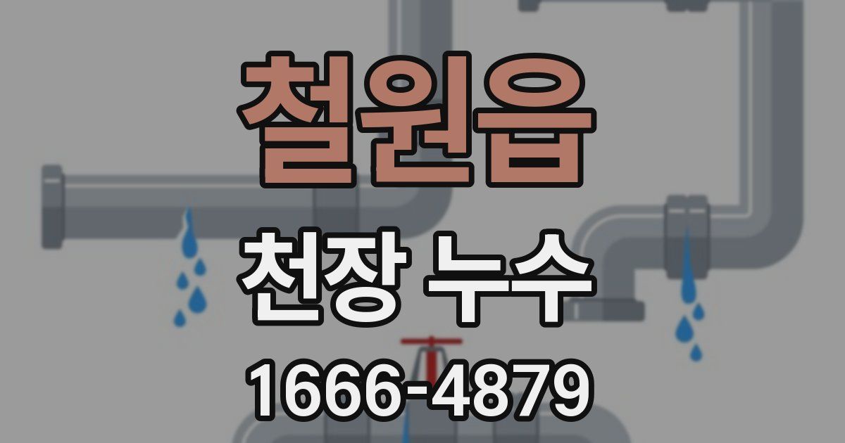 철원읍 천장 누수