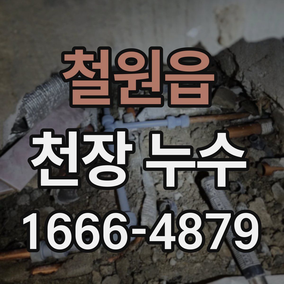 철원읍 천장 누수