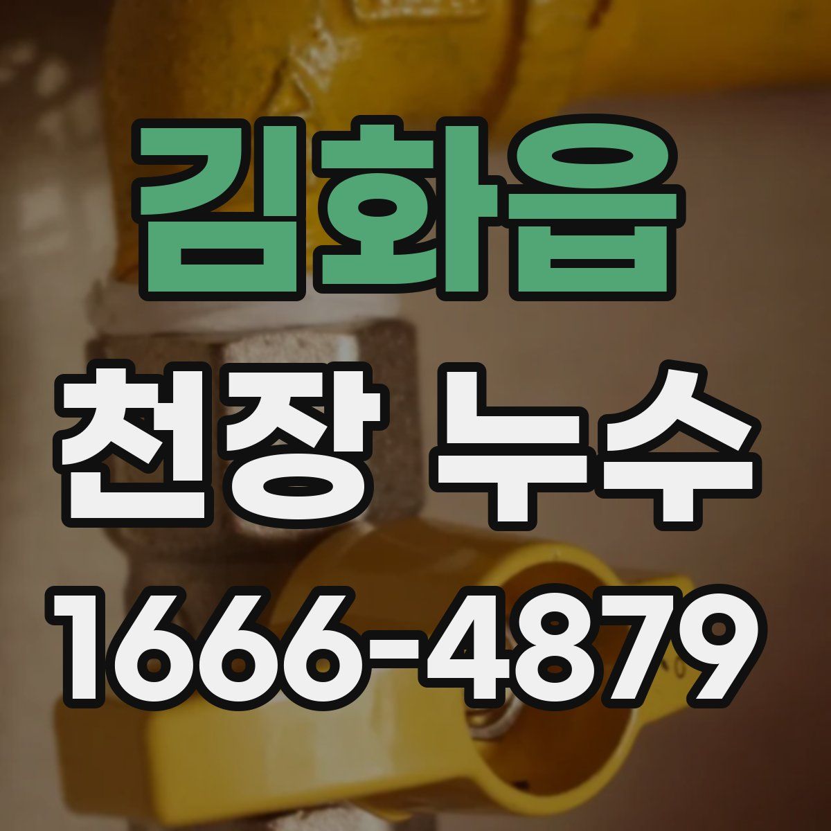 김화읍 천장 누수