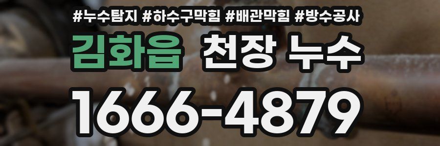 김화읍 천장 누수