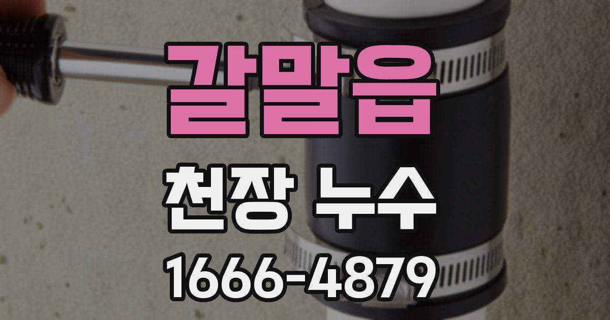 갈말읍 천장 누수