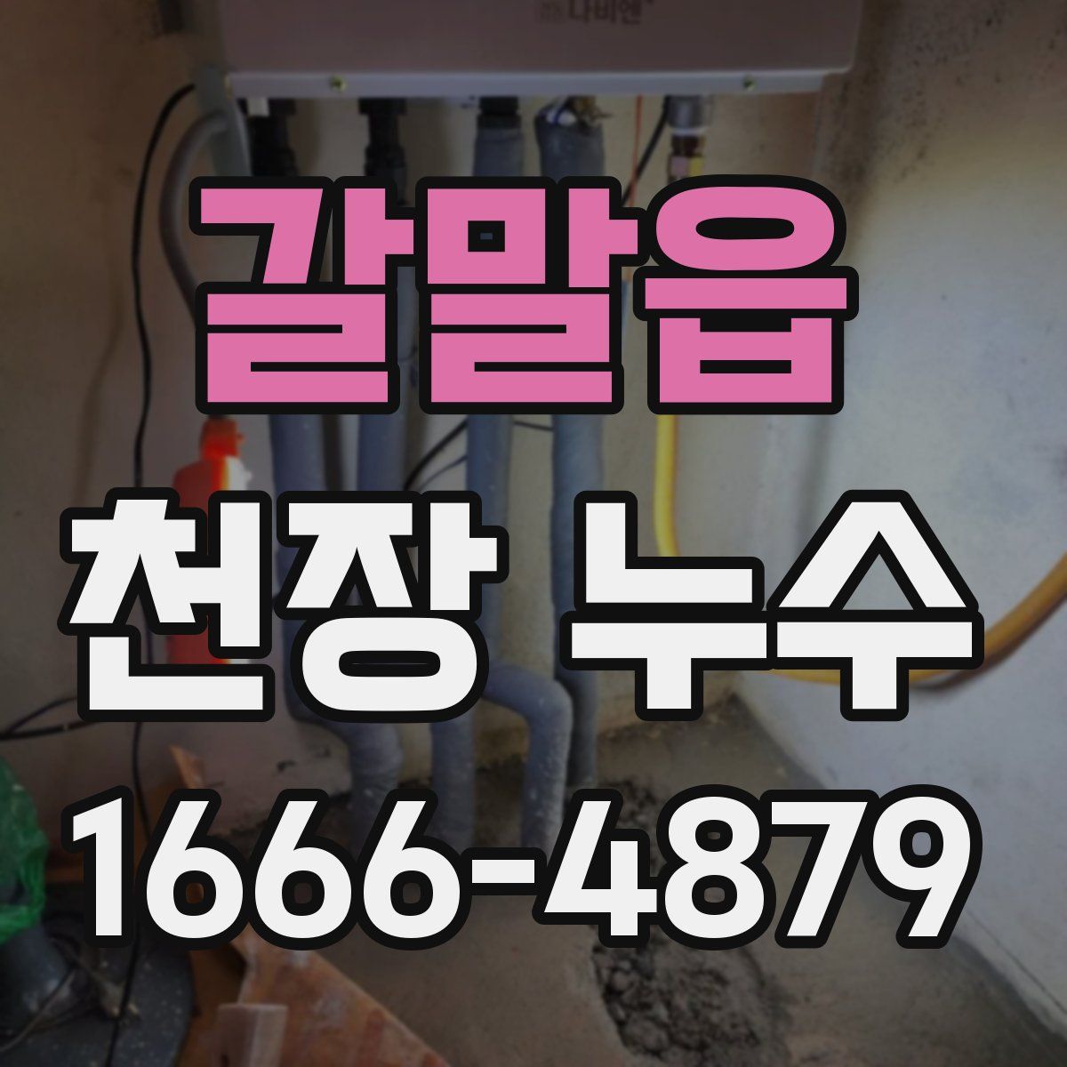 갈말읍 천장 누수