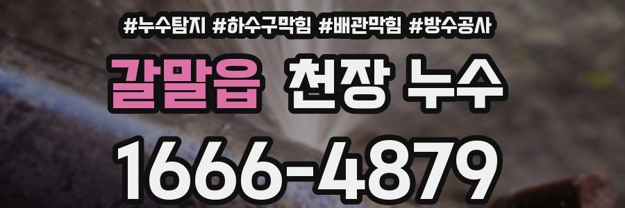 갈말읍 천장 누수
