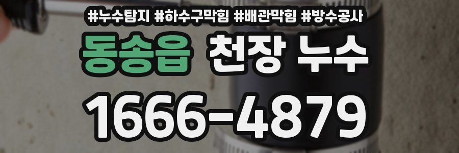 동송읍 천장 누수