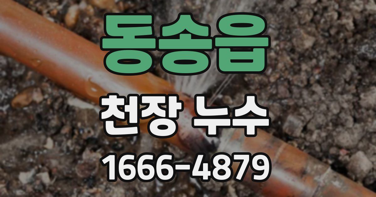 동송읍 천장 누수
