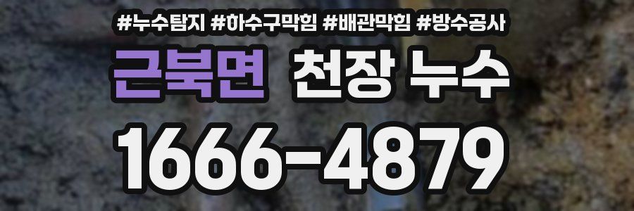 근북면 천장 누수
