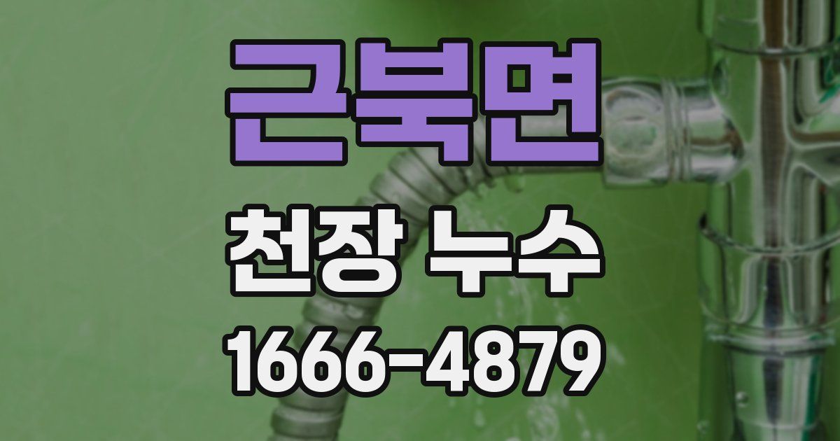 근북면 천장 누수