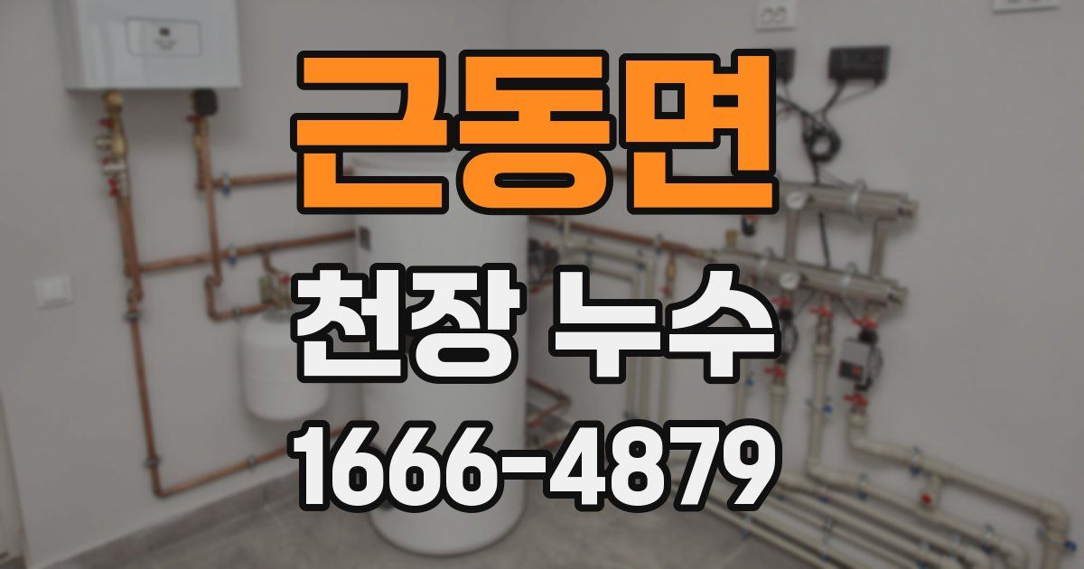 근동면 천장 누수
