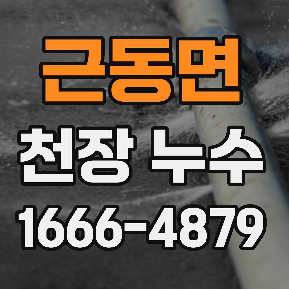 근동면 천장 누수