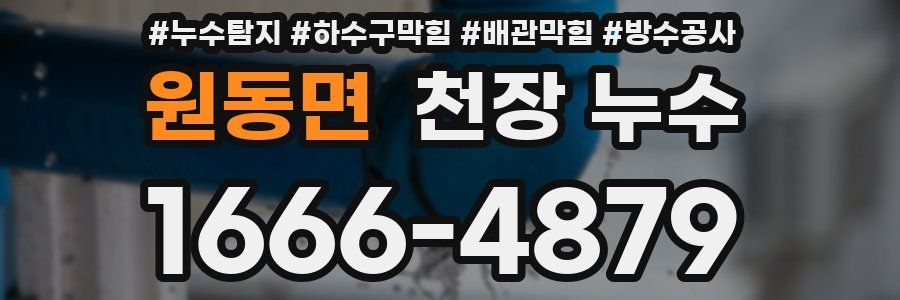 원동면 천장 누수