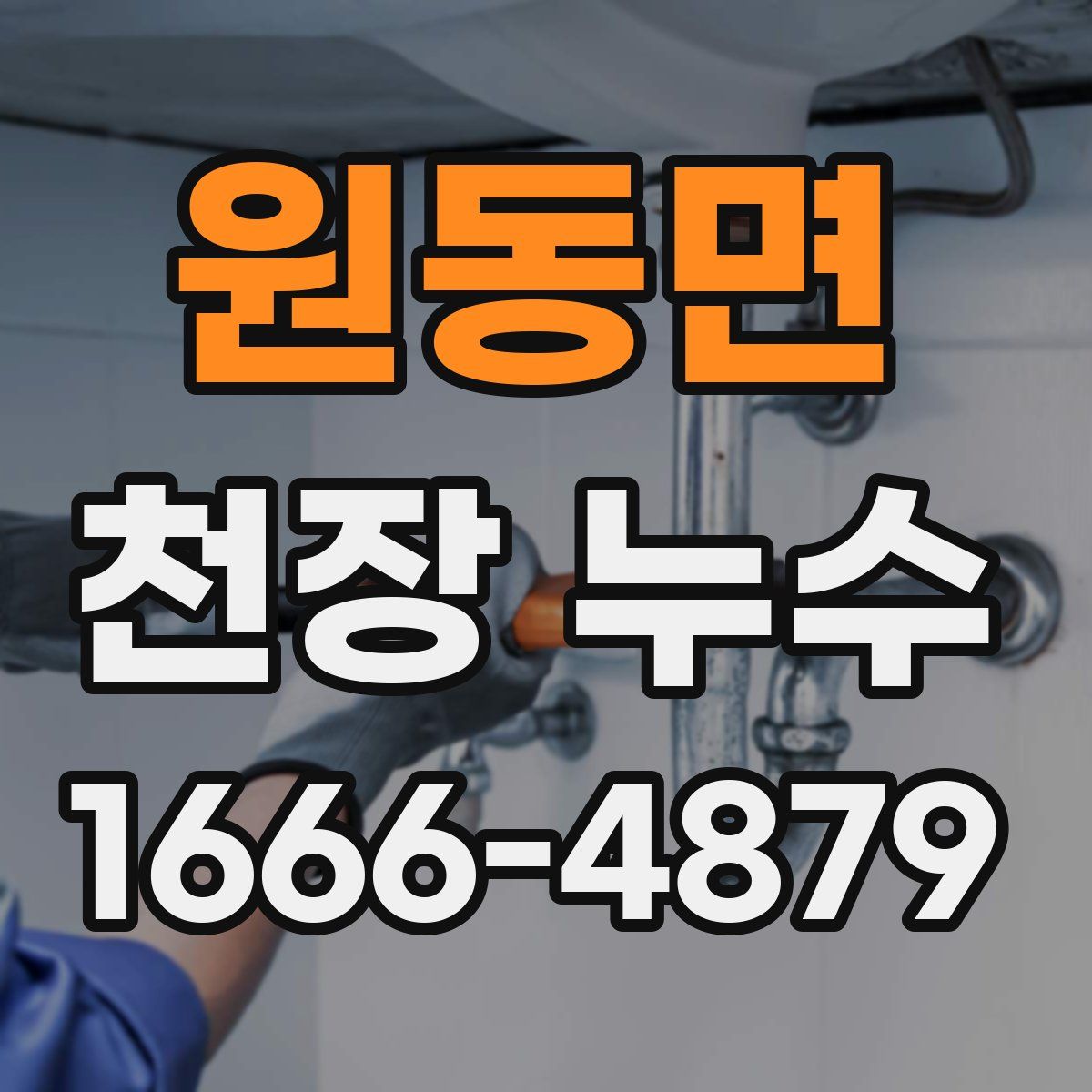 원동면 천장 누수