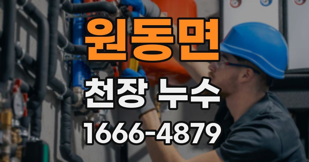 원동면 천장 누수