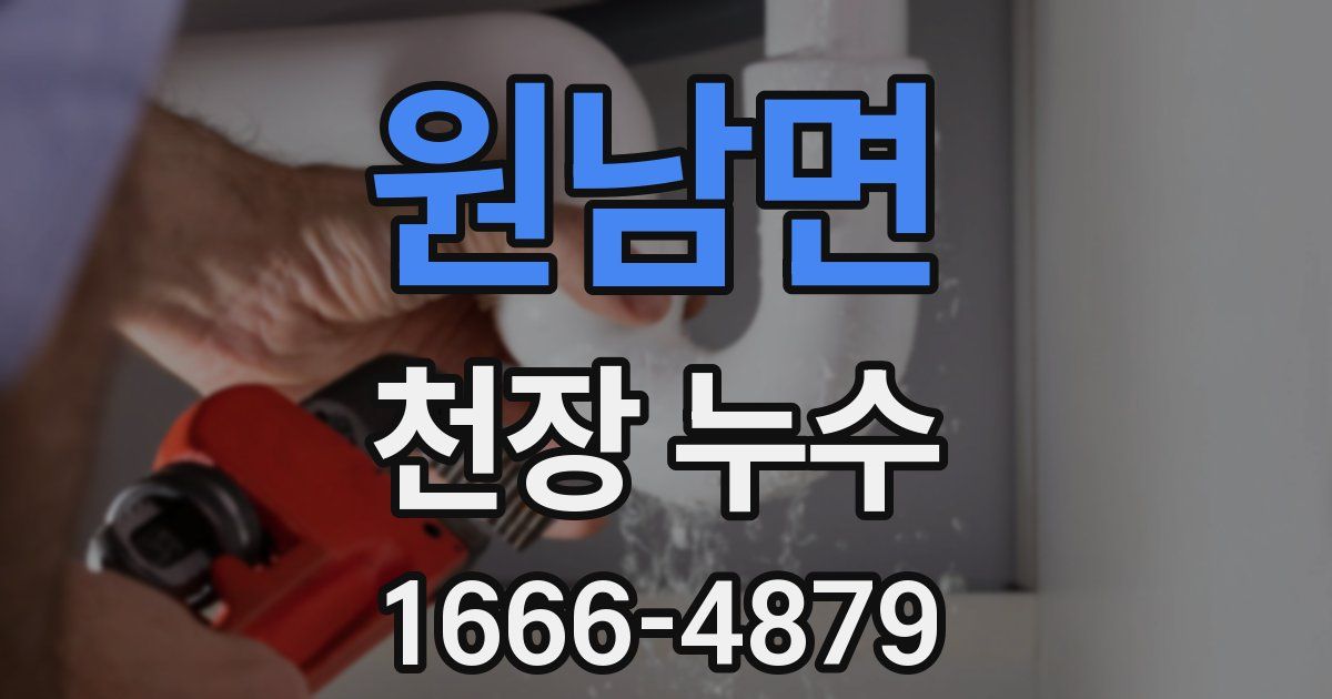 원남면 천장 누수