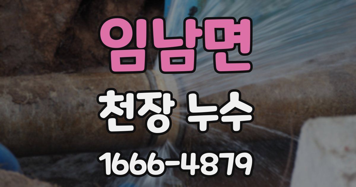 임남면 천장 누수