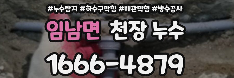 임남면 천장 누수