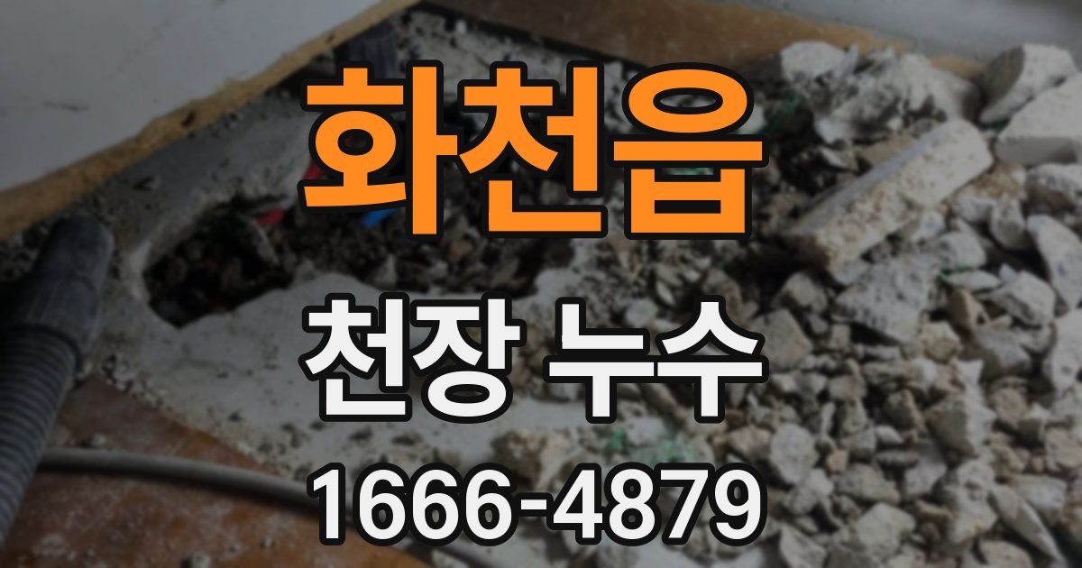 화천읍 천장 누수