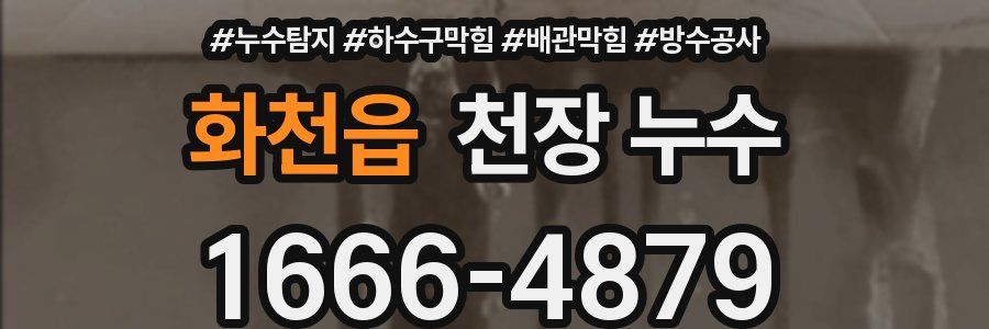 화천읍 천장 누수
