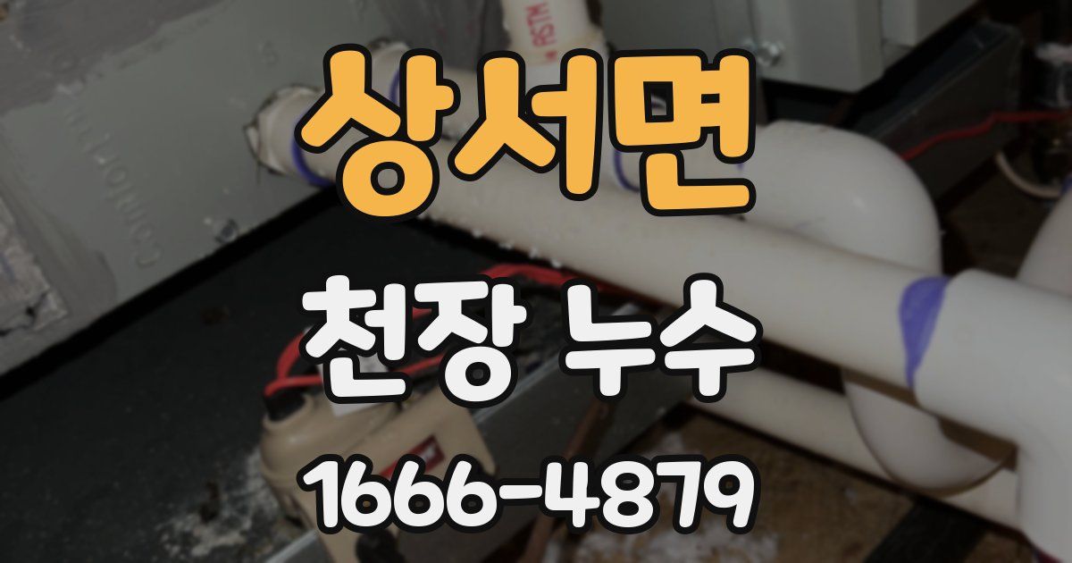상서면 천장 누수