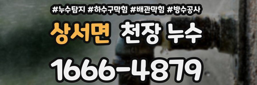상서면 천장 누수