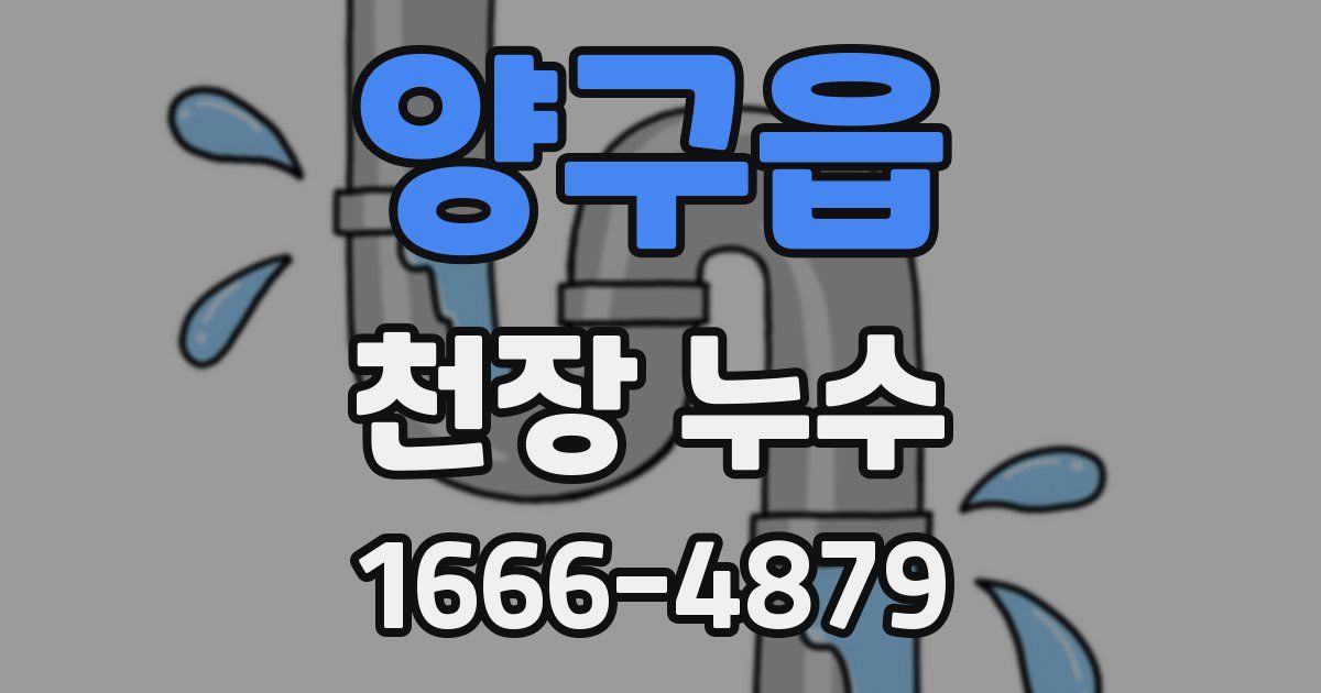 양구읍 천장 누수