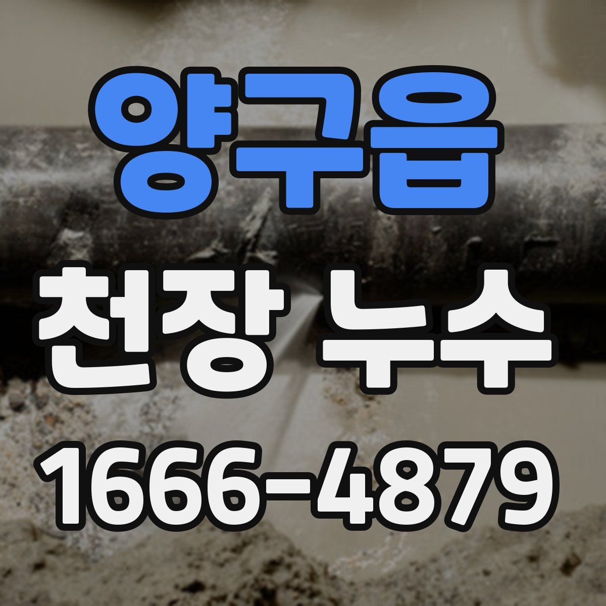 양구읍 천장 누수