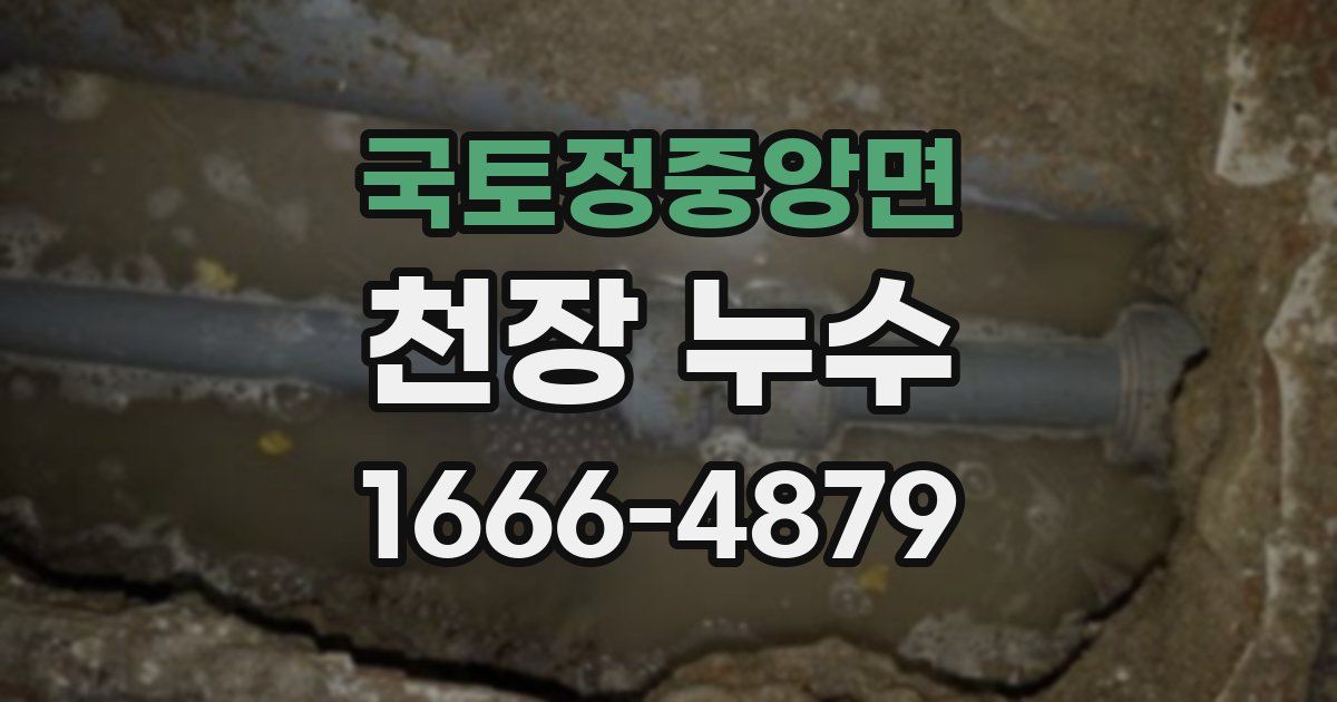 국토정중앙면 천장 누수