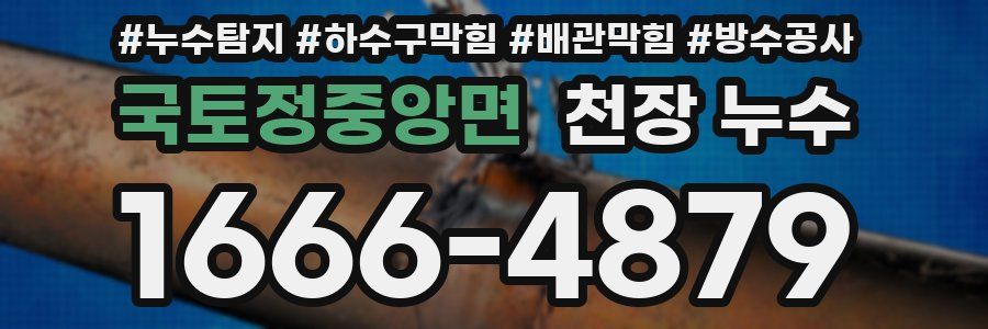 국토정중앙면 천장 누수
