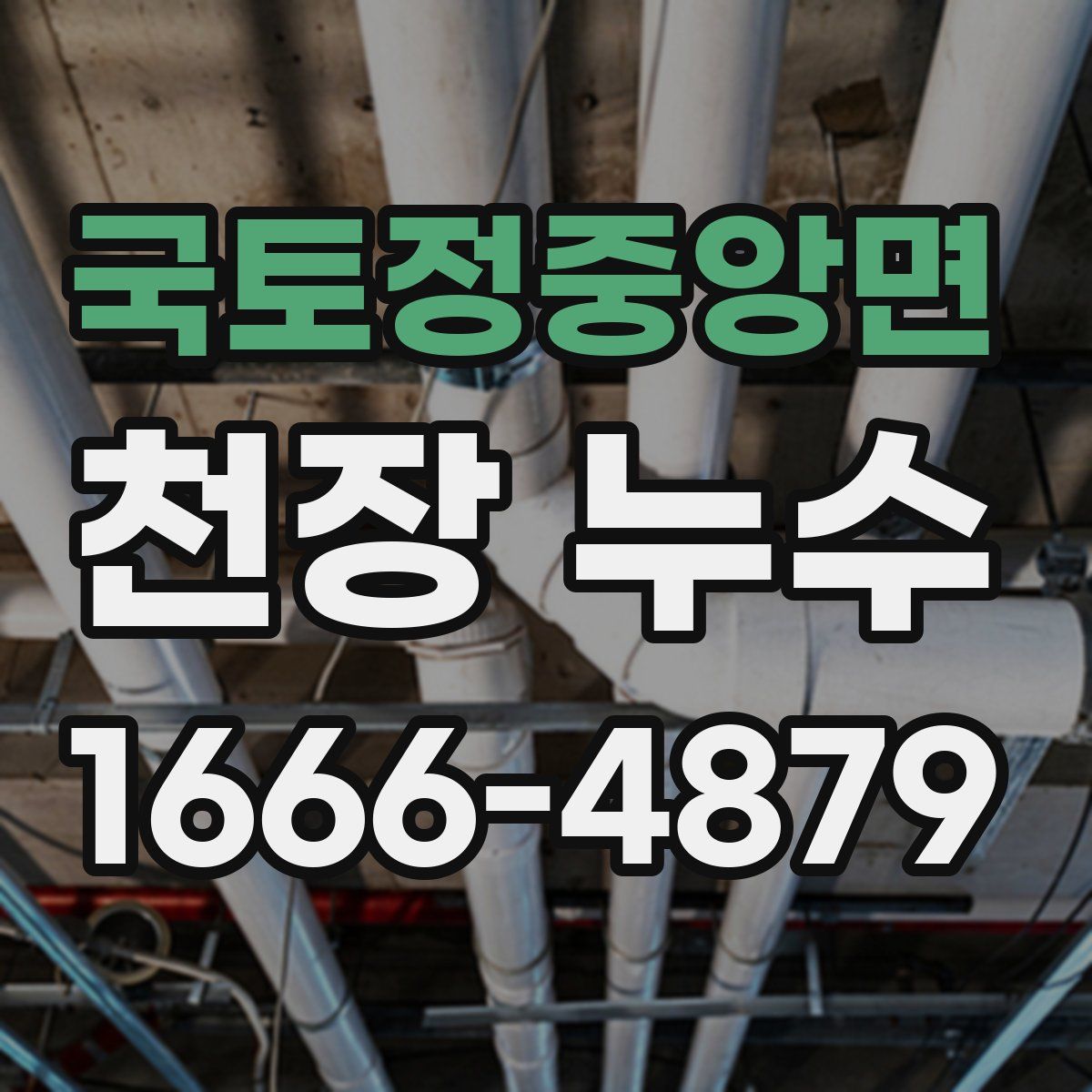 국토정중앙면 천장 누수