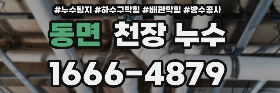 동면 천장 누수