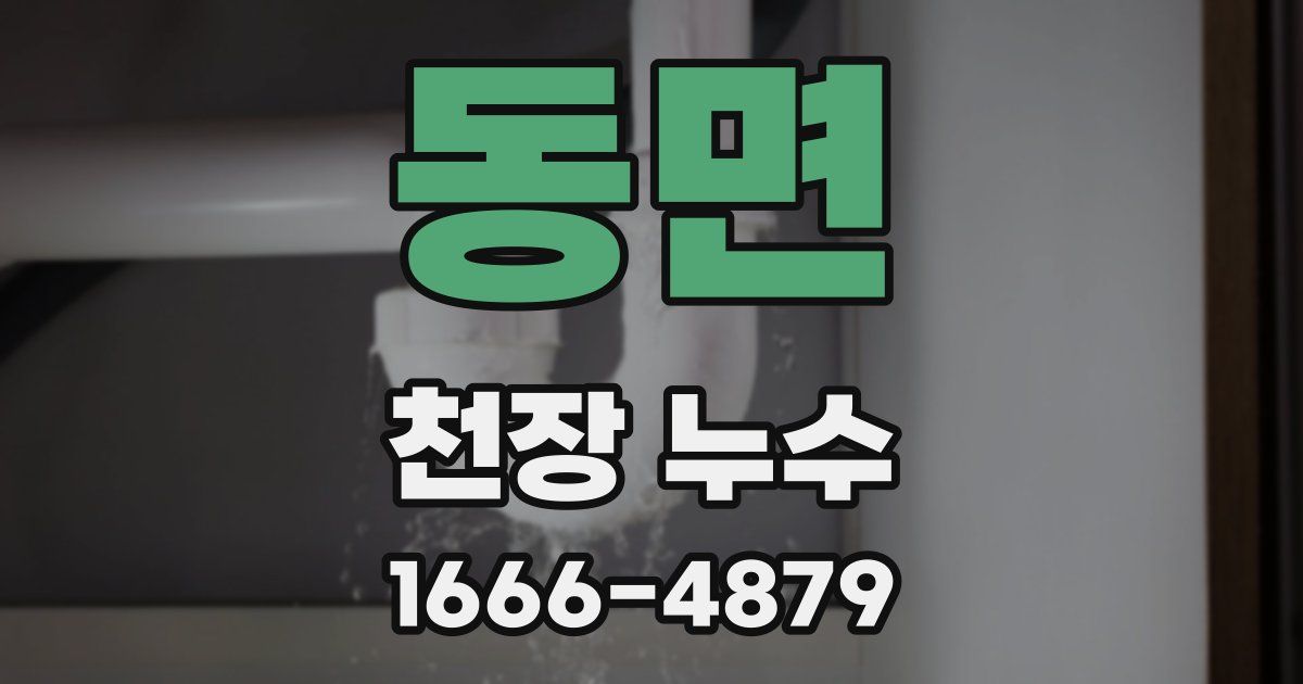 동면 천장 누수
