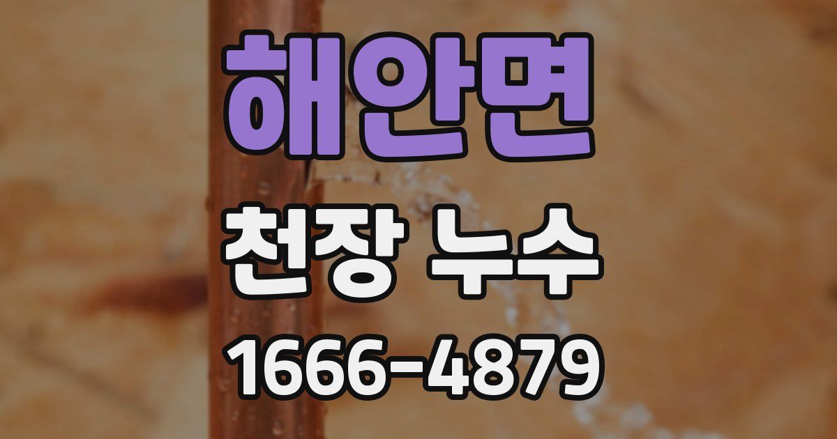 해안면 천장 누수