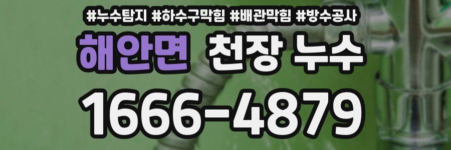 해안면 천장 누수