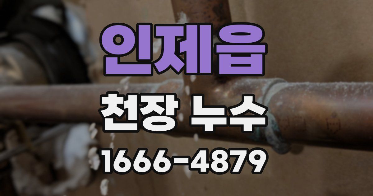 인제읍 천장 누수
