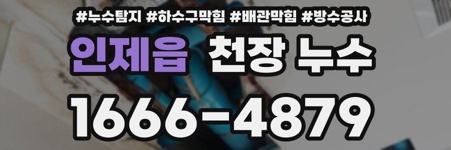 인제읍 천장 누수