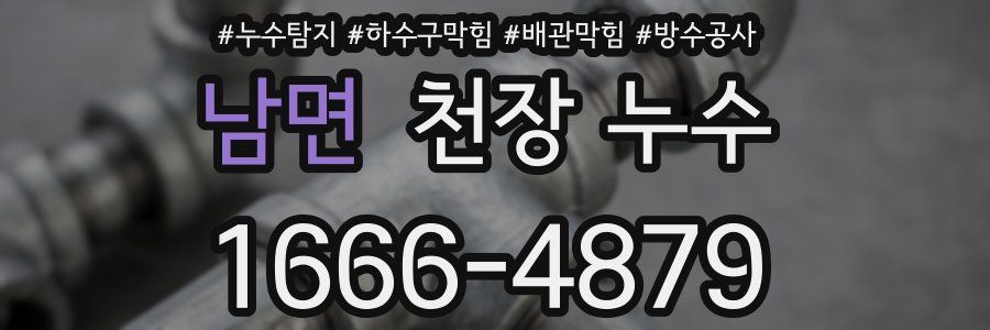 남면 천장 누수