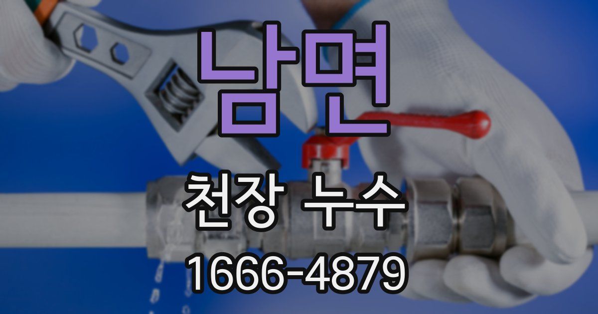 남면 천장 누수