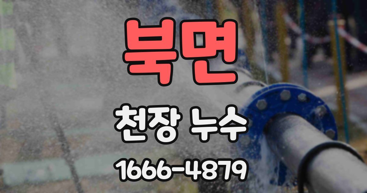 북면 천장 누수