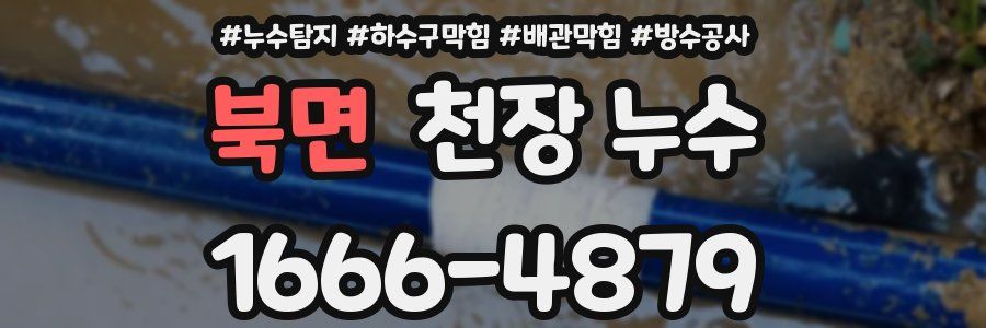 북면 천장 누수