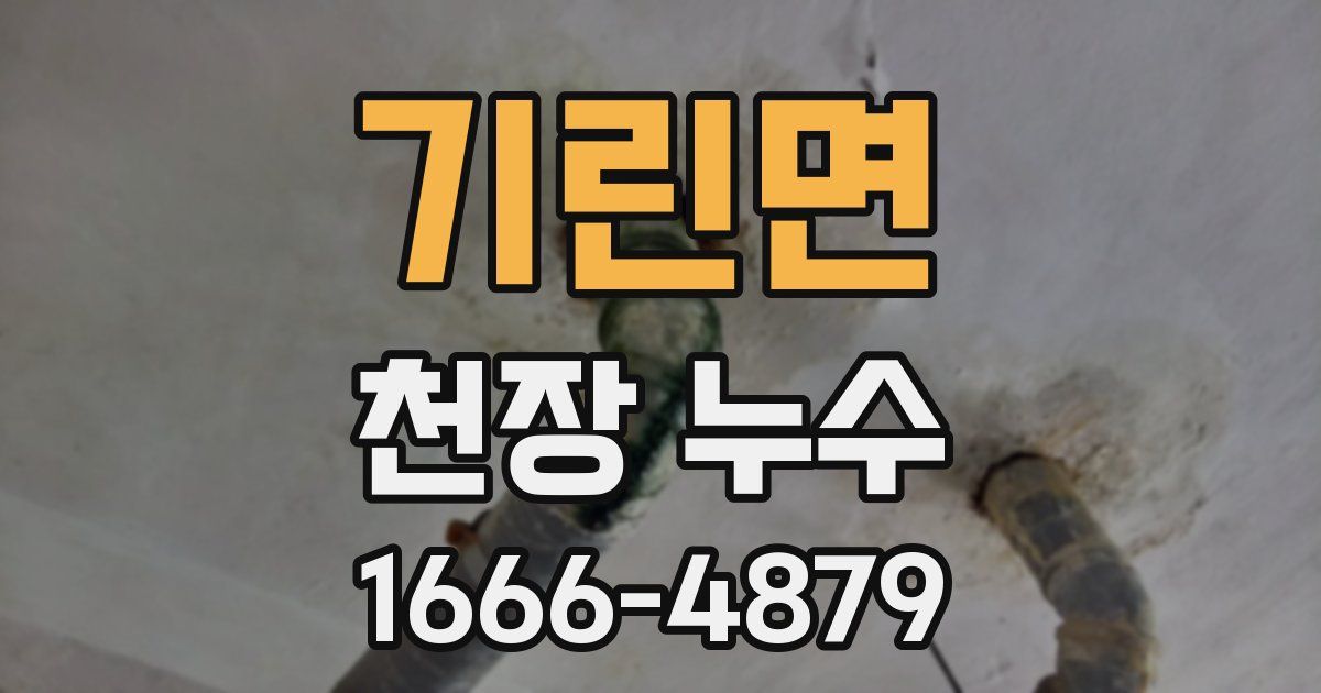 기린면 천장 누수