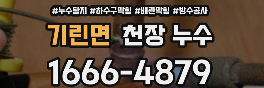 기린면 천장 누수